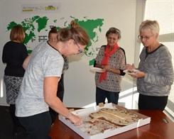 FSC Friday 2015_11
